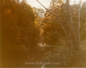 Image description is not available for PHO-4-W689-1705